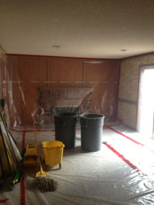Livingstone Fireplace Before picture, with brick surround
